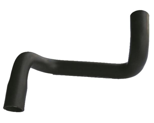 RADYATOR ALT HORTUMU (FORD: FOCUS 1.4 16V 1.6 16V 98 04)
